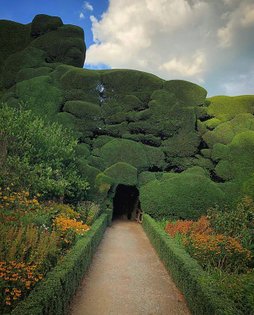 Topiary hedge, Powis Castle c/o @danielpieckielonslowik #earthday 🌎🌎🌎