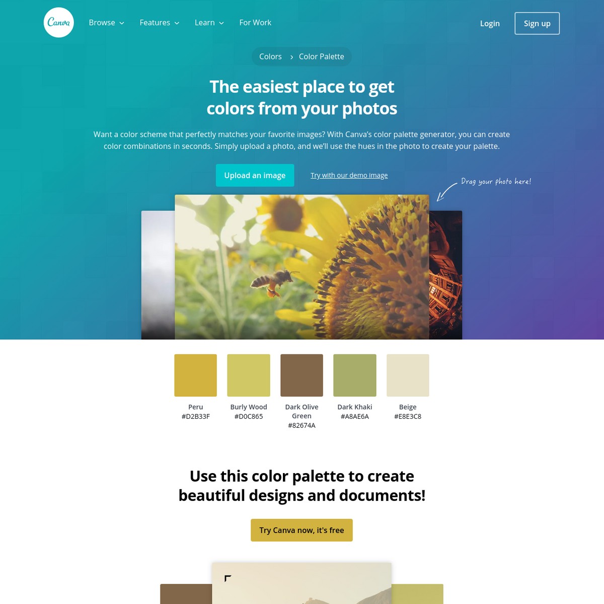 Color Palette Generator Canva Colors