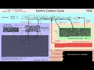 The Earth's Carbon Cycle