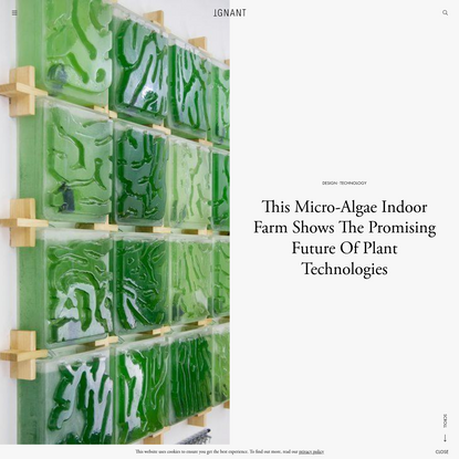 This Micro-Algae Indoor Farm Shows The Promising Future Of Plant Technologies - IGNANT