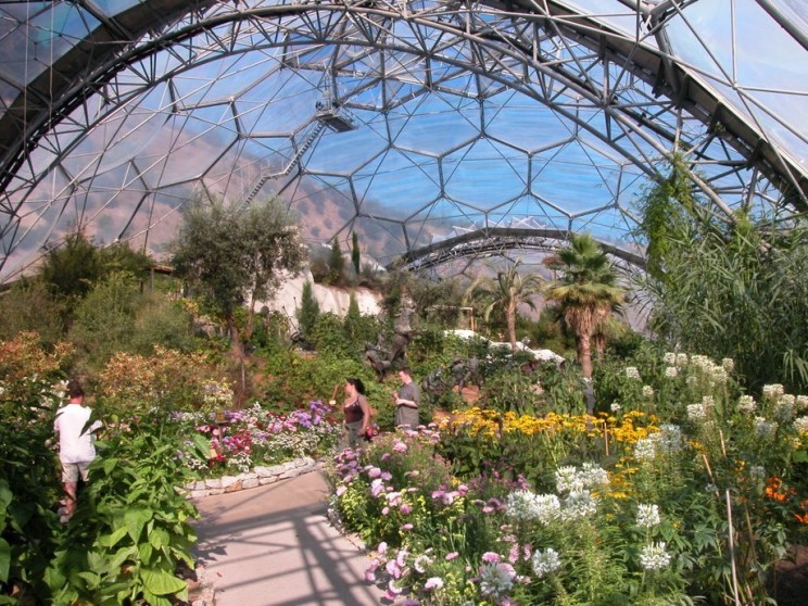 1137-eden-project-flowers-tourist-attractions_resize_md.jpg