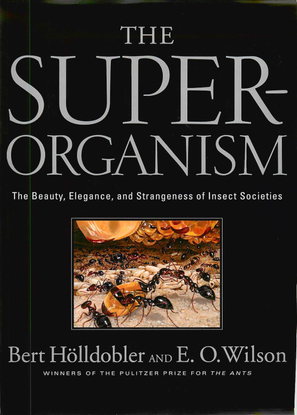 The-Super-organism.pdf