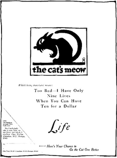 life-magazine-1920-sa.jpg