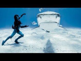 Tigress Shark - Woman Dances with Tiger Sharks