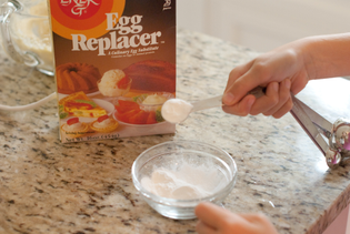 adding-egg-replacer-powder.jpg