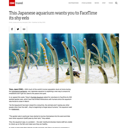 This Japanese aquarium wants you to FaceTime its shy eels