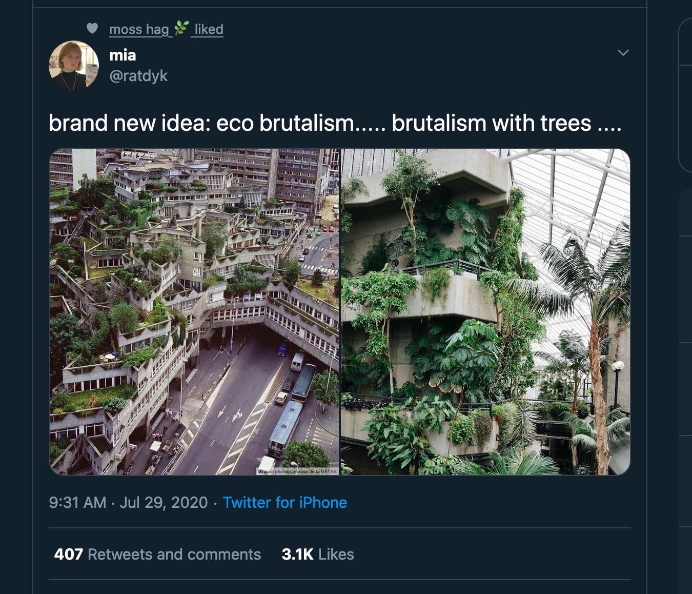 eco-brutalism