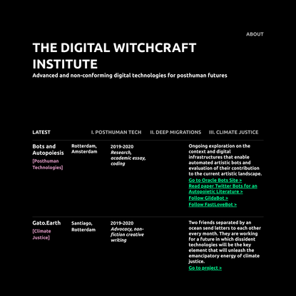 Institute — Digital Witchcraft