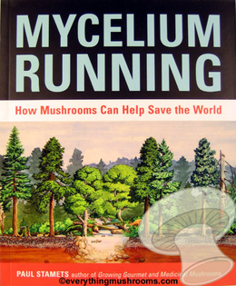Mycelium Running: How Mushrooms Can Help Save The World