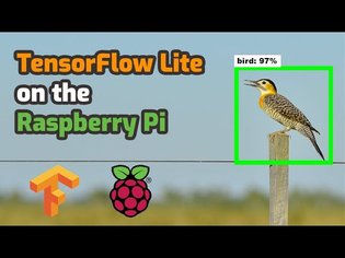 How To Run TensorFlow Lite on Raspberry Pi for Object Detection