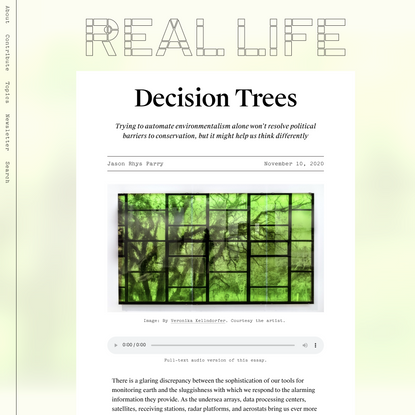 Decision Trees — Real Life