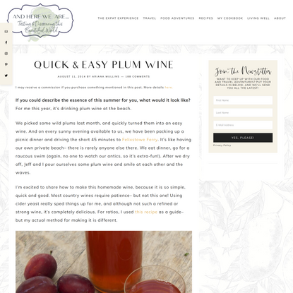 Quick &amp; Easy Plum Wine - And Here We Are