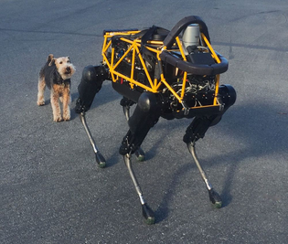 dog-and-robot-biomimicry.jpg.1000x0_q80_crop-smart.jpg