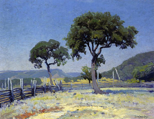 live-oak-trees-on-williams-ranch-bandera-county-1915.jpg-large.jpg