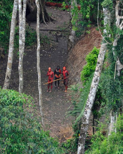 uncontacted-tribe-yanomani_territory.jpeg