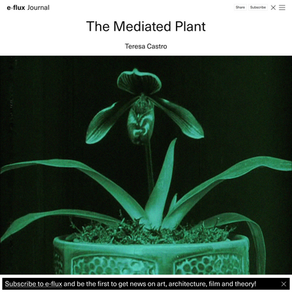 The Mediated Plant - Journal #102 September 2019 - e-flux