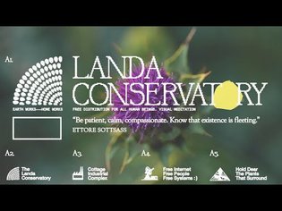 Landa Conservatory | Wild Thistle Yard Harvest (Visual Meditation)