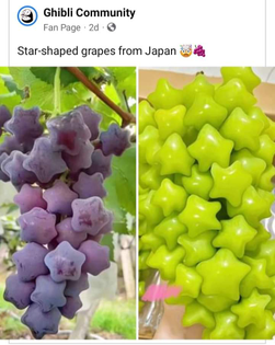 Star-shaped grapes from Japan