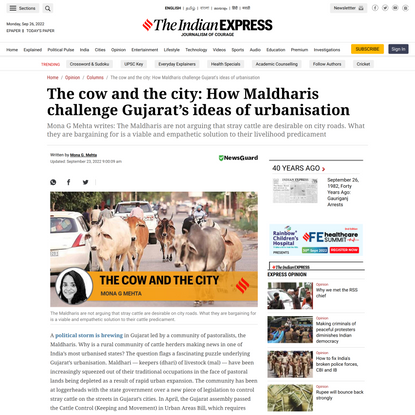 The cow and the city: How Maldharis challenge Gujarat’s ideas of urbanisation