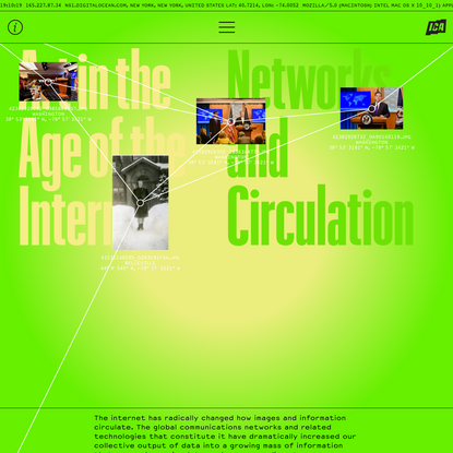 Art in the Age of the Internet - Networks and Circulation