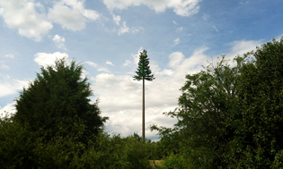 charlotte-tree-tower1.jpg