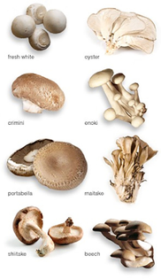 the-mushroom-varieties-with-anti-inflammatory-activity-fresh-white-mushrooms-agaricus.jpg