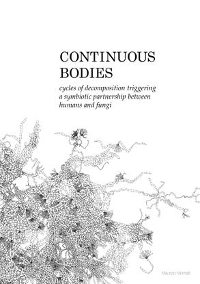 thesis-continuouus-bodies-low_res.pdf