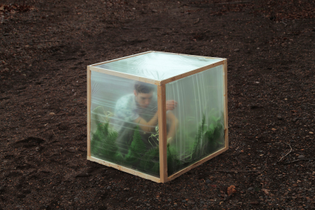 greenhouse.jpg?1800