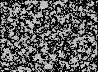1280px-colloidcrystal_10xbrightfield_glassinwater_domains.png